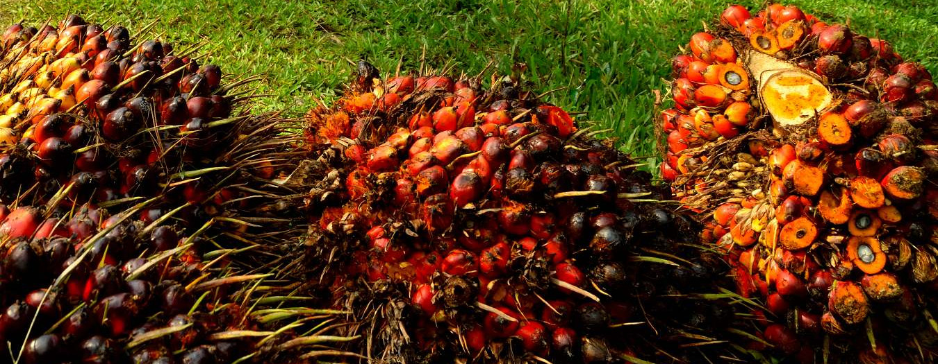 RSPO Supply Chain Certification Standard 2020