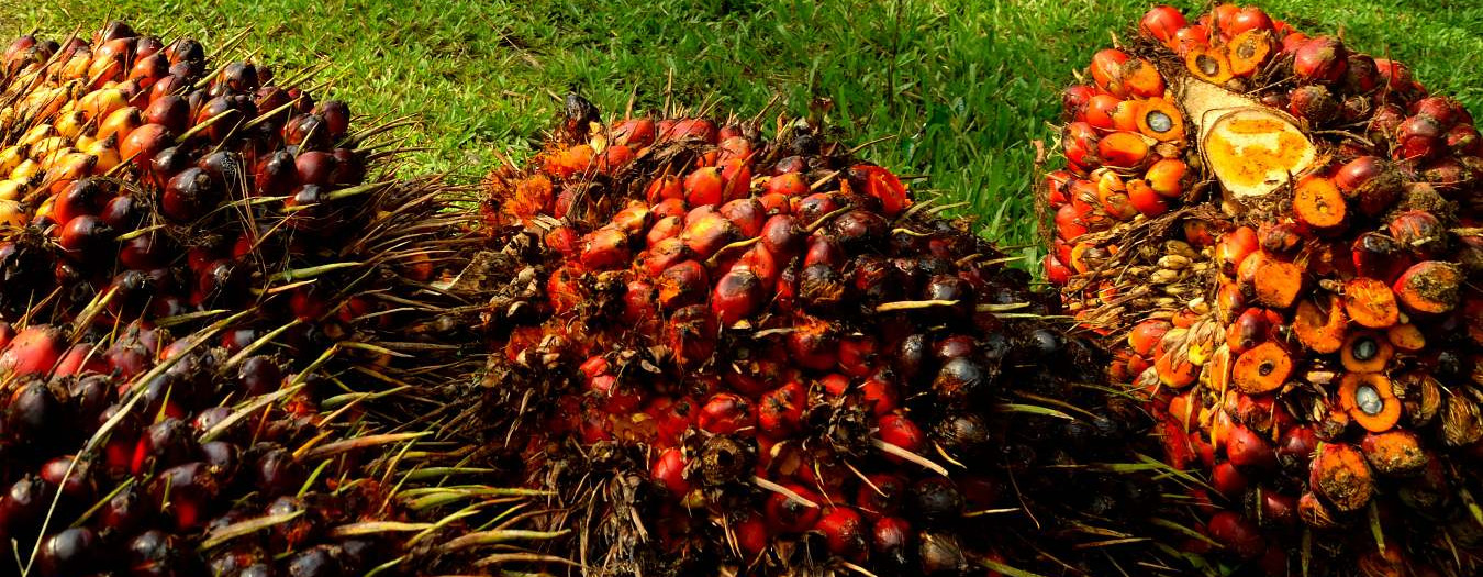 RSPO Supply Chain Certification Standard 2020