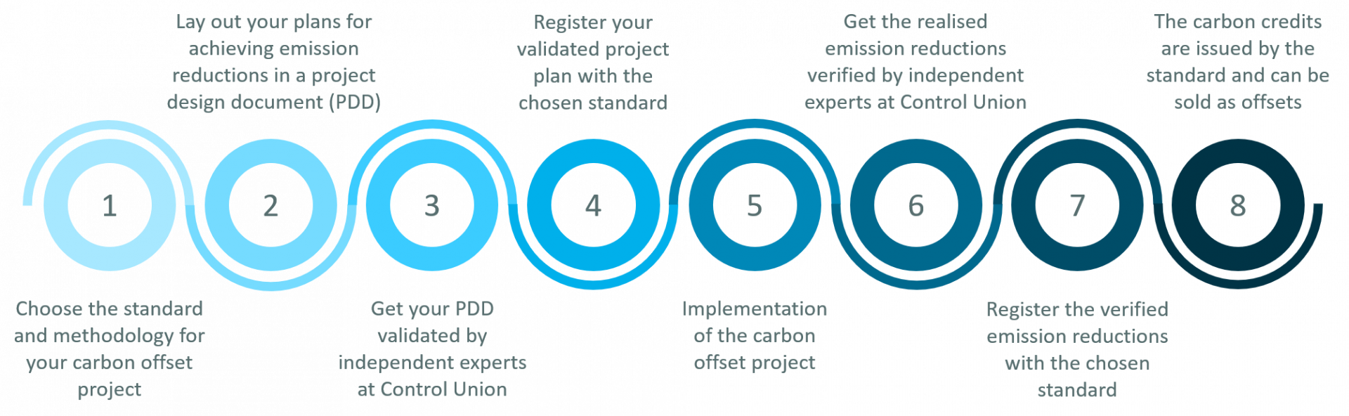 Flow chart depicting the steps for a successful plan vivo carbon offset project