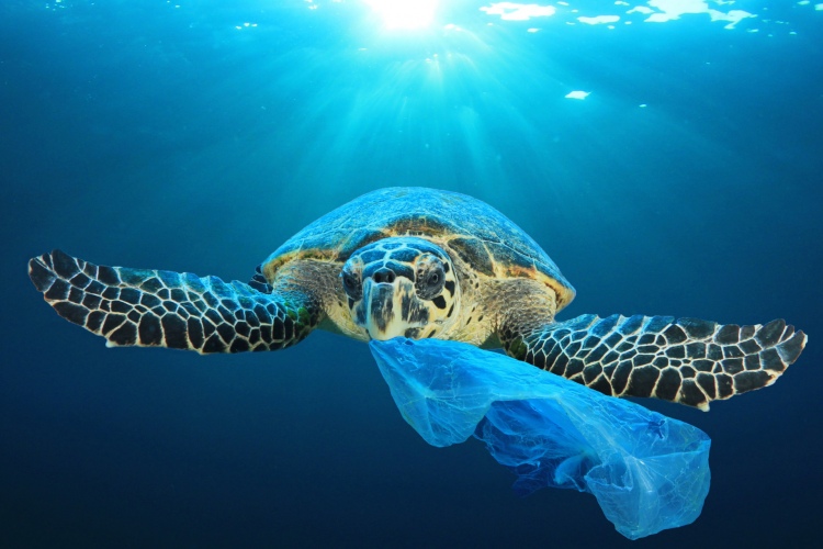 Ocean Bound Plastic 